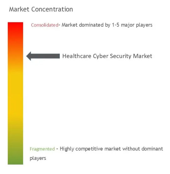 Healthcare Cyber Security Market Concentration